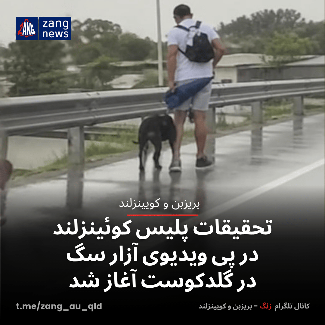 تحقیقات پلیس کوئینزلند در پی ویدیوی آزار سگ در گلدکوست آغاز شد