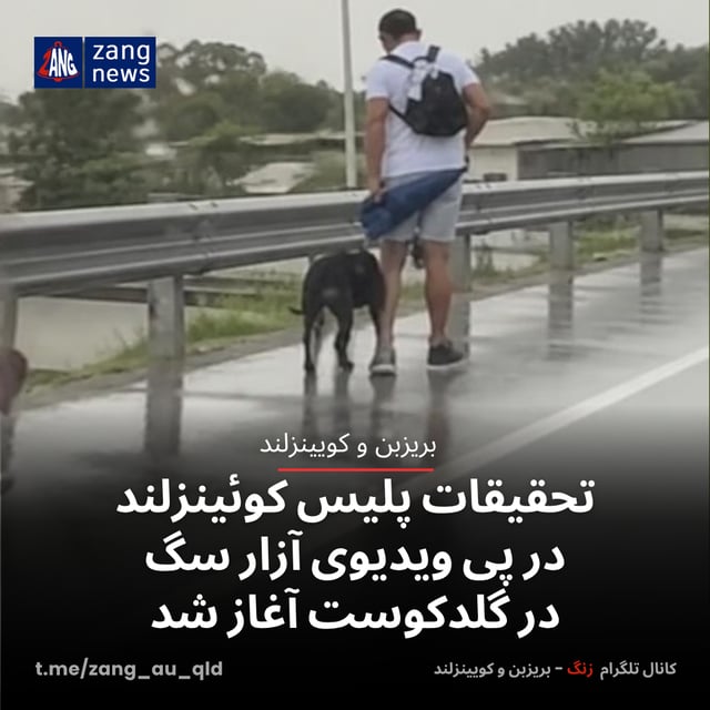 تحقیقات پلیس کوئینزلند در پی ویدیوی آزار سگ در گلدکوست آغاز شد