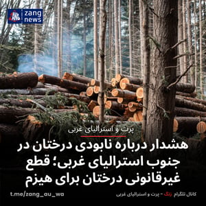 هشدار درباره نابودی درختان در جنوب استرالیای غربی؛ قطع غیرقانونی درختان برای هیزم