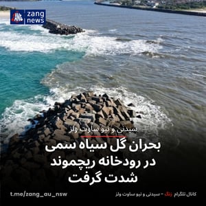 بحران گل سیاه سمی در رودخانه ریچموند شدت گرفت