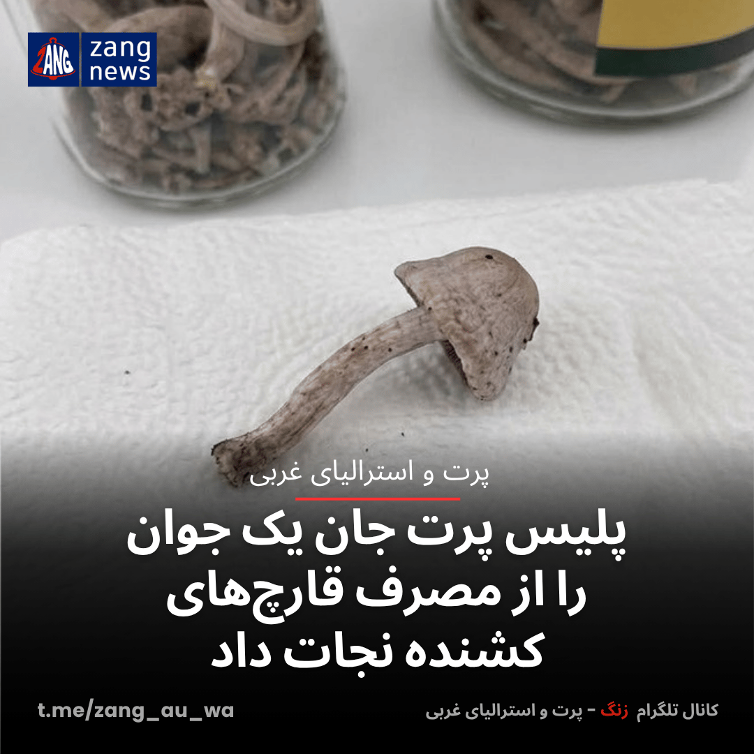 پلیس پرت جان یک جوان را از مصرف قارچ‌های کشنده نجات داد