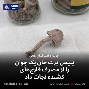 پلیس پرت جان یک جوان را از مصرف قارچ‌های کشنده نجات داد