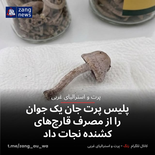 پلیس پرت جان یک جوان را از مصرف قارچ‌های کشنده نجات داد