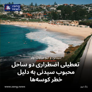 تعطیلی اضطراری دو ساحل محبوب سیدنی به دلیل خطر کوسه‌ها
