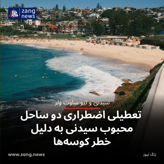 تعطیلی اضطراری دو ساحل محبوب سیدنی به دلیل خطر کوسه‌ها