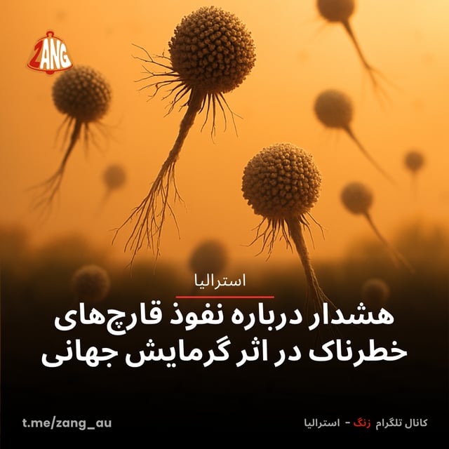 هشدار درباره نفوذ قارچ‌های خطرناک در اثر گرمایش جهانی زنگ استرالیا t.me/zang_au