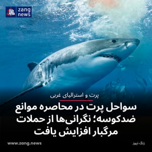 سواحل پرت در محاصره موانع ضدکوسه؛ نگرانی‌ها از حملات مرگبار افزایش یافت