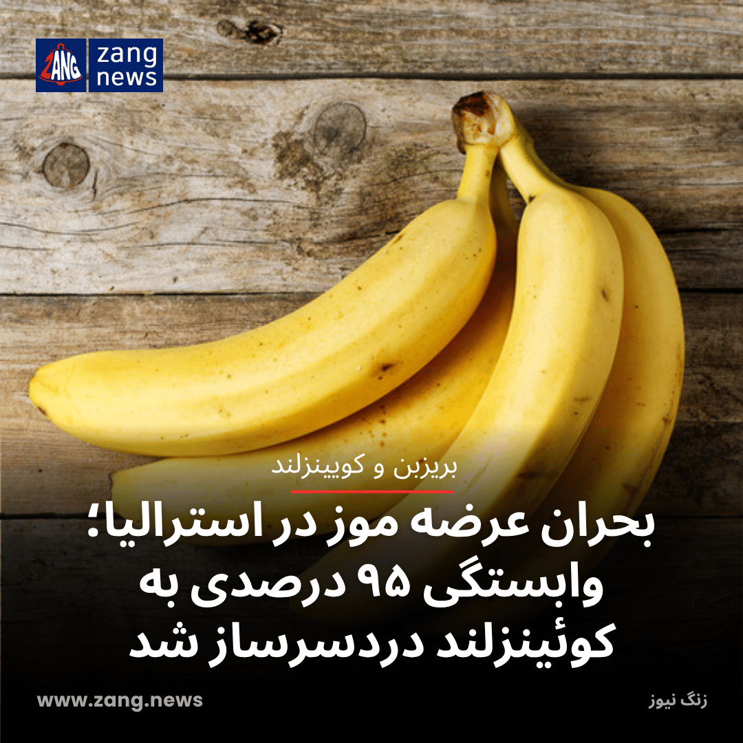 بحران عرضه موز در استرالیا؛ وابستگی ۹۵ درصدی به کوئینزلند دردسرساز شد
