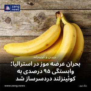 بحران عرضه موز در استرالیا؛ وابستگی ۹۵ درصدی به کوئینزلند دردسرساز شد