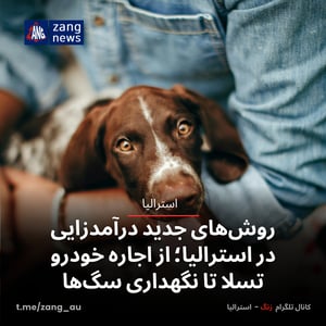 روش‌های جدید درآمدزایی در استرالیا؛ از اجاره خودرو تسلا تا نگهداری سگ‌ها