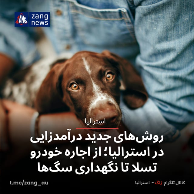 روش‌های جدید درآمدزایی در استرالیا؛ از اجاره خودرو تسلا تا نگهداری سگ‌ها