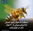 سرقت ۸ هزار زنبور عسل به ارزش بیش از ۲۰ هزار دلار در کوئینزلند