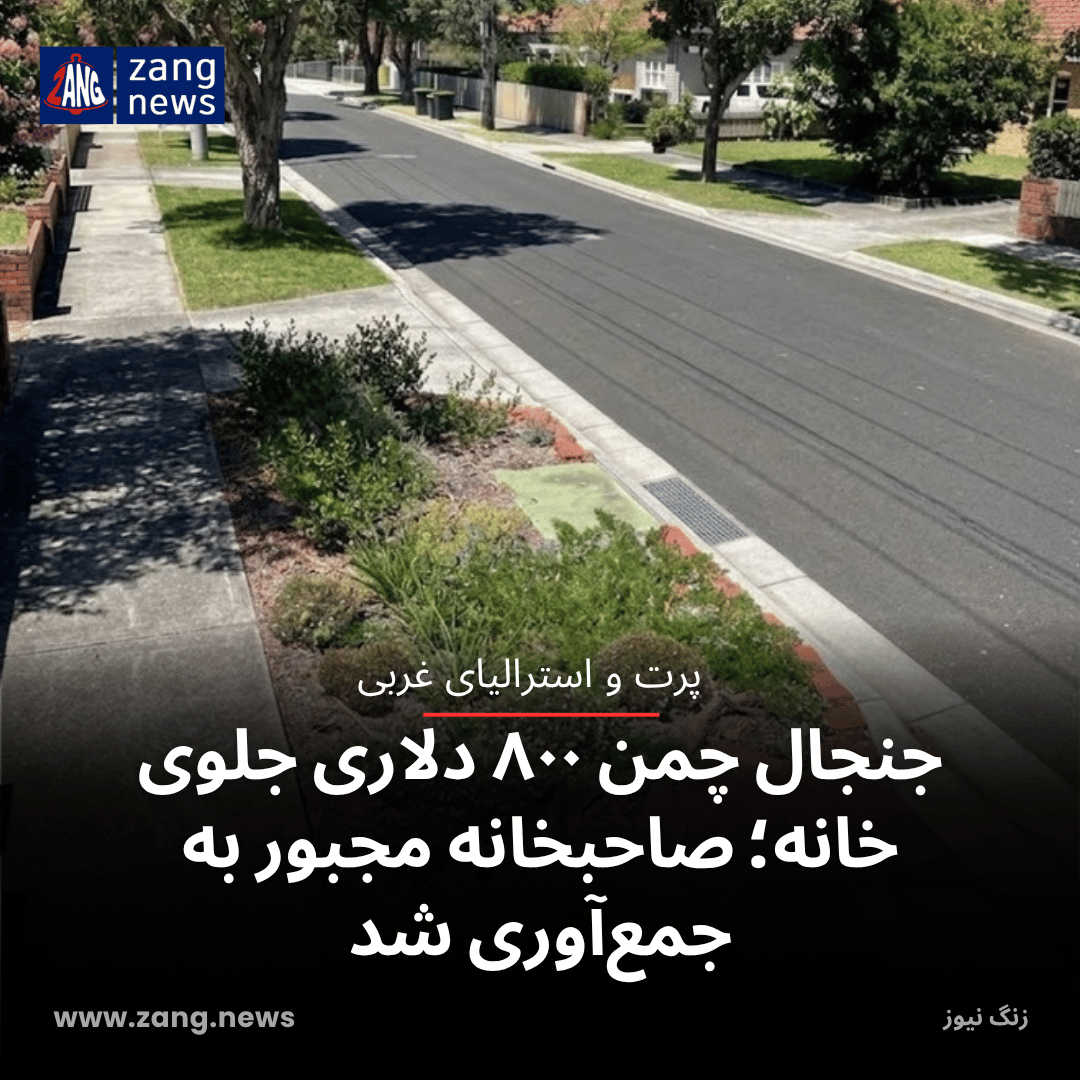 جنجال چمن ۸۰۰ دلاری جلوی خانه؛ صاحبخانه مجبور به جمع‌آوری شد