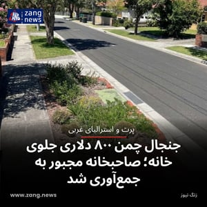 جنجال چمن ۸۰۰ دلاری جلوی خانه؛ صاحبخانه مجبور به جمع‌آوری شد