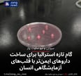 گام تازه استرالیا برای ساخت داروهای ایمن‌تر با قلب‌های آزمایشگاهی انسان