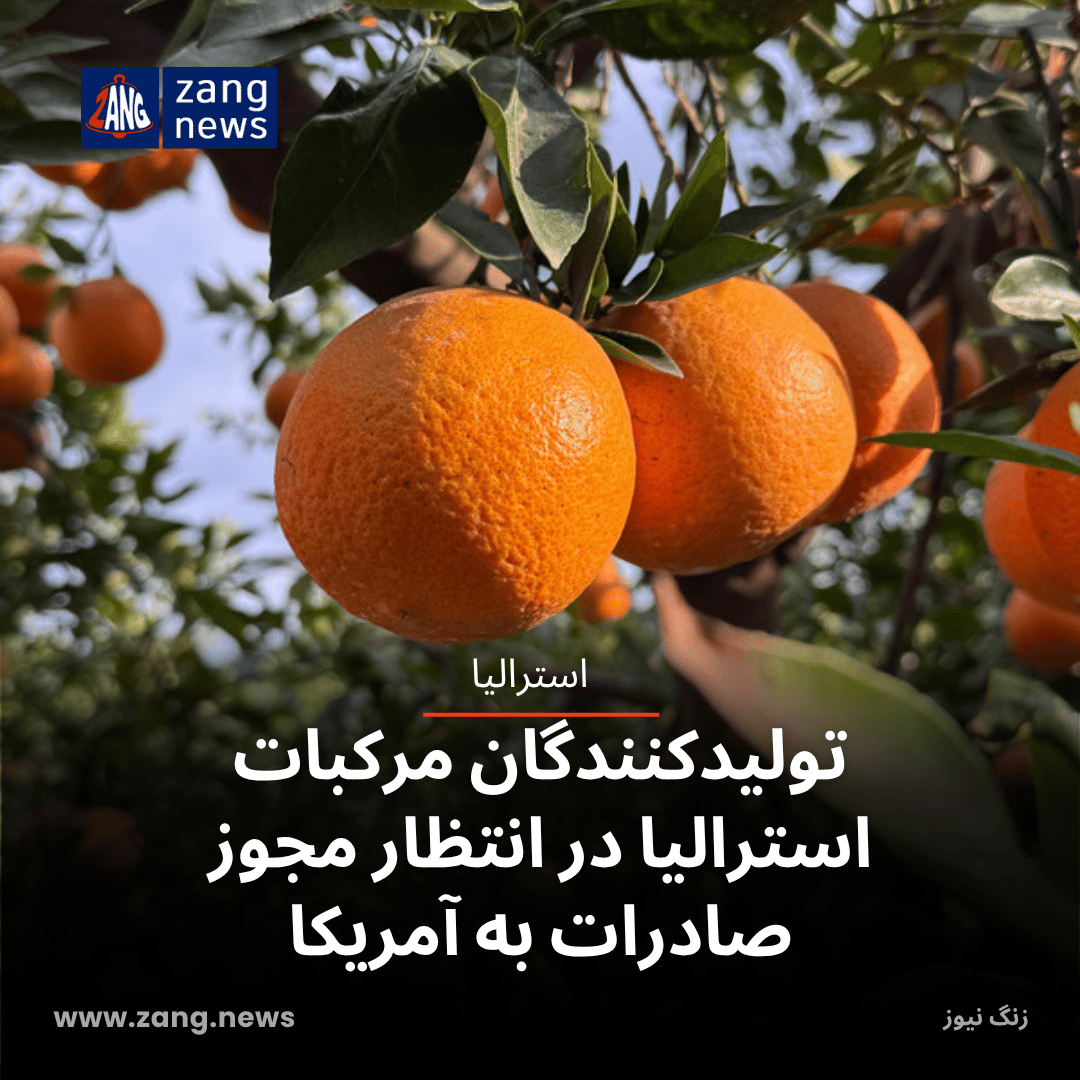تولیدکنندگان مرکبات استرالیا در انتظار مجوز صادرات به آمریکا