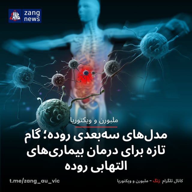 مدل‌های سه‌بعدی روده؛ گام تازه برای درمان بیماری‌های التهابی روده