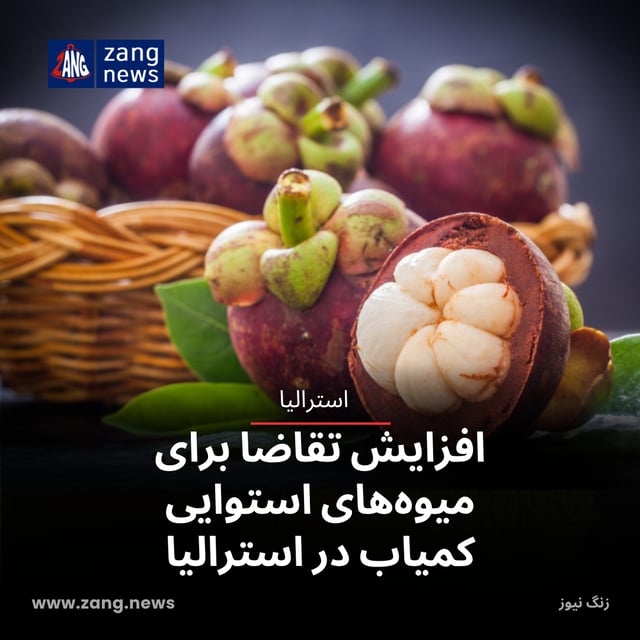 افزایش تقاضا برای میوه‌های استوایی کمیاب در استرالیا