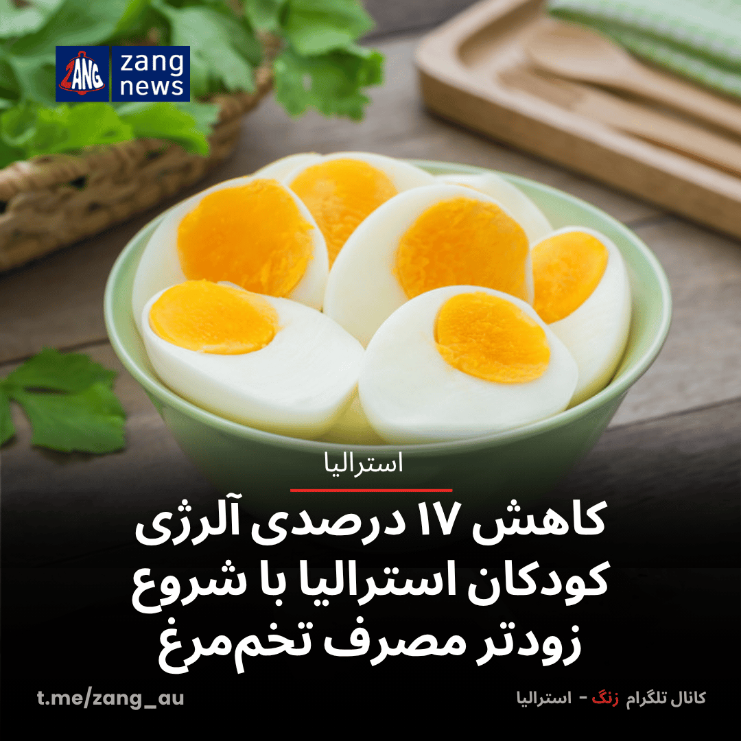 کاهش ۱۷ درصدی آلرژی کودکان استرالیا با شروع زودتر مصرف تخم‌مرغ