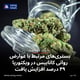 بستری‌های مرتبط با عوارض روانی کانابیس در ویکتوریا ۴۹ درصد افزایش یافت
