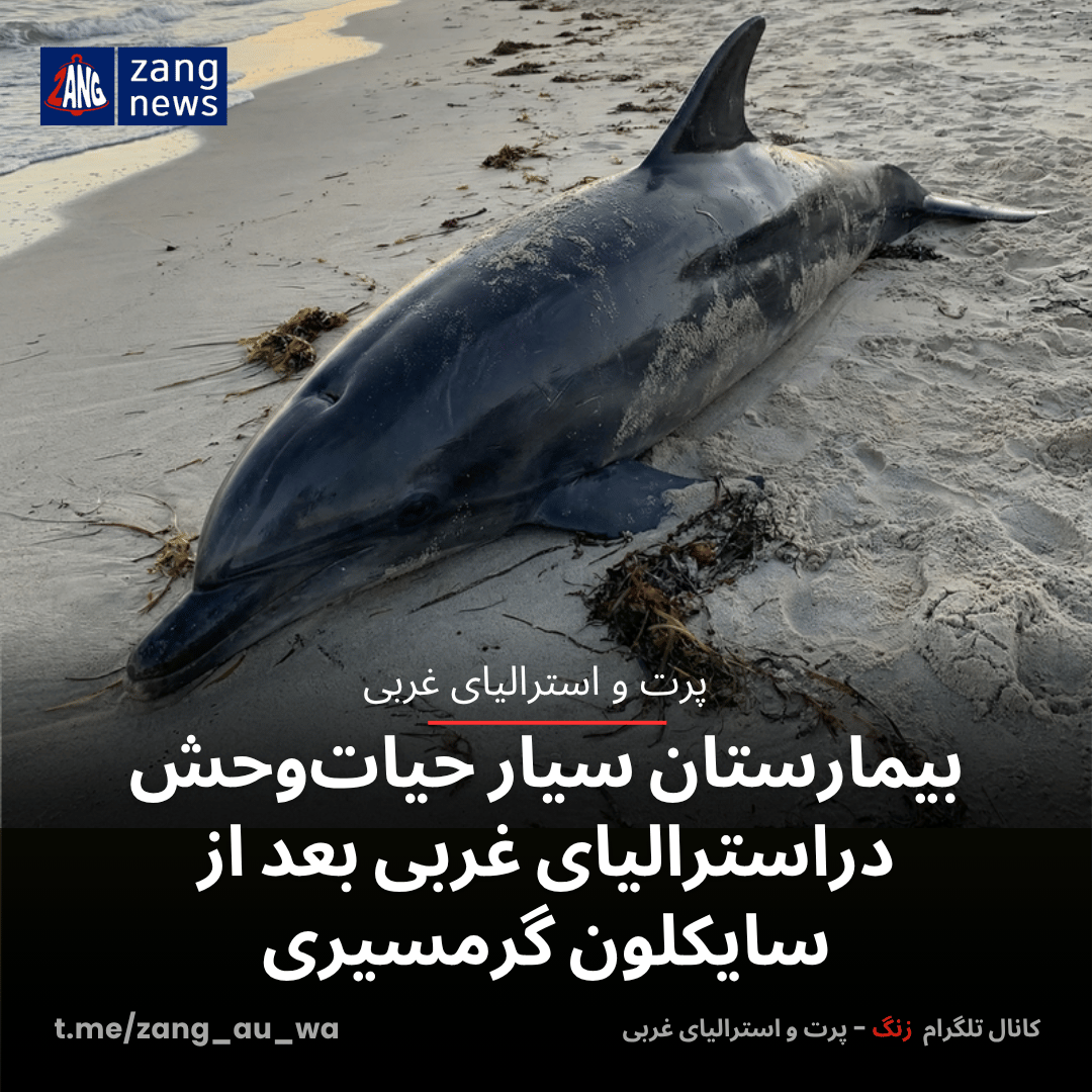 بیمارستان سیار حیات‌وحش دراسترالیای غربی بعد از سایکلون گرمسیری