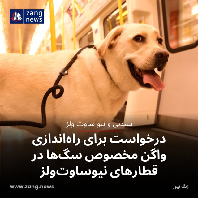 درخواست برای راه‌اندازی واگن مخصوص سگ‌ها در قطارهای نیوساوت‌ولز