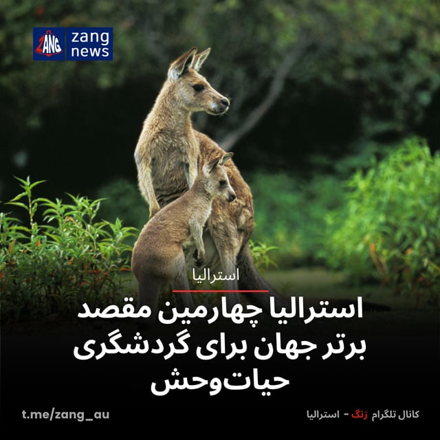 استرالیا چهارمین مقصد برتر جهان برای گردشگری حیات‌وحش