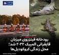 رودخانه فیتزروی میزبان قایقرانی المپیک ۲۰۳۲ شد؛ محل زندگی کروکودیل‌ها