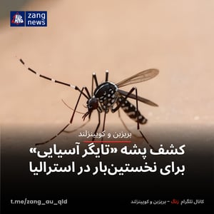 کشف پشه «تایگر آسیایی» برای نخستین‌بار در استرالیا