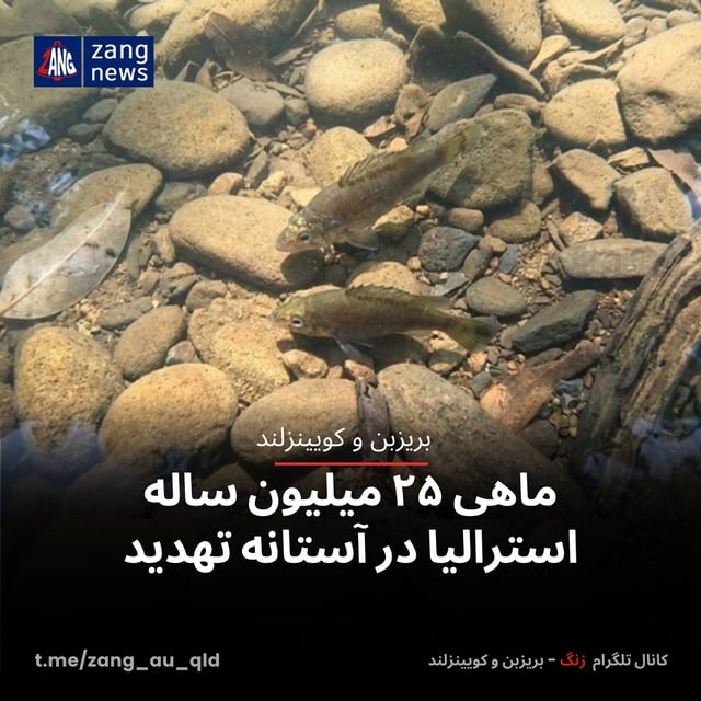 ماهی ۲۵ میلیون ساله استرالیا در آستانه تهدید