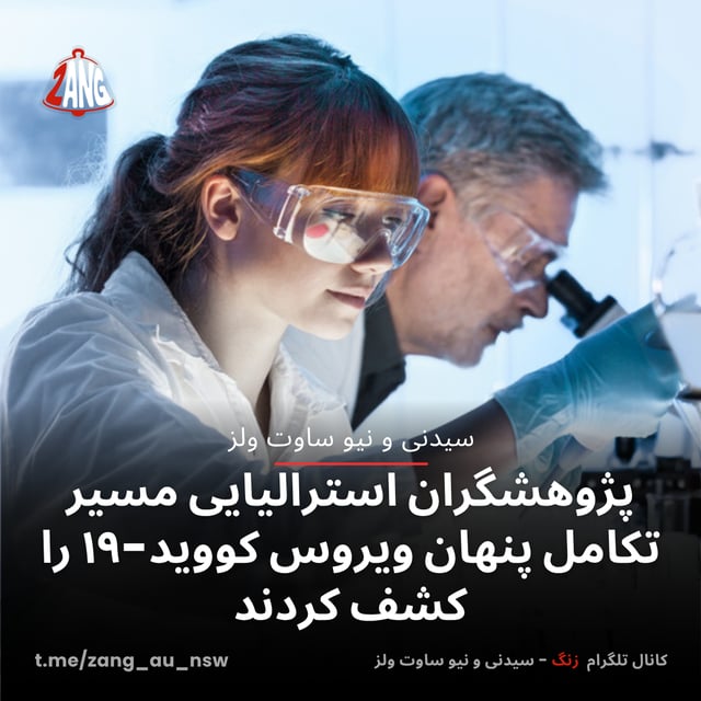 پژوهشگران استرالیایی مسیر تکامل پنهان ویروس کووید-۱۹ را کشف کردند