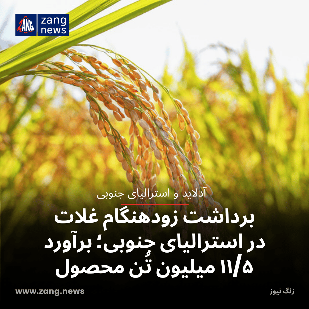 برداشت زودهنگام غلات در استرالیای جنوبی؛ برآورد ۱۱/۵ میلیون تُن محصول