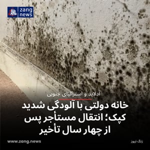 خانه دولتی با آلودگی شدید کپک؛ انتقال مستأجر پس از چهار سال تأخیر