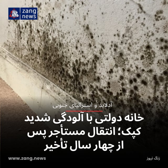 خانه دولتی با آلودگی شدید کپک؛ انتقال مستأجر پس از چهار سال تأخیر
