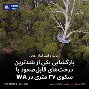 بازگشایی یکی از بلندترین درخت‌های قابل‌صعود با سکوی ۳۷ متری در WA