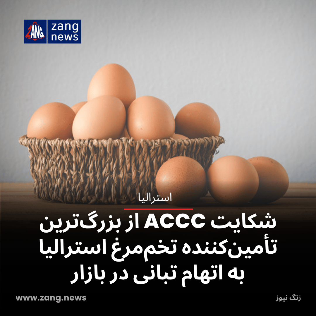 شکایت ACCC از بزرگ‌ترین تأمین‌کننده تخم‌مرغ استرالیا به اتهام تبانی در بازار