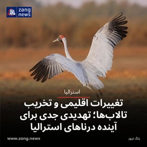 تغییرات اقلیمی و تخریب تالاب‌ها؛ تهدیدی جدی برای آینده درناهای استرالیا
