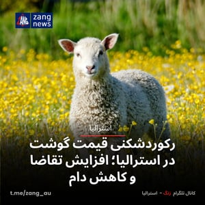 رکوردشکنی قیمت گوشت در استرالیا؛ افزایش تقاضا و کاهش دام