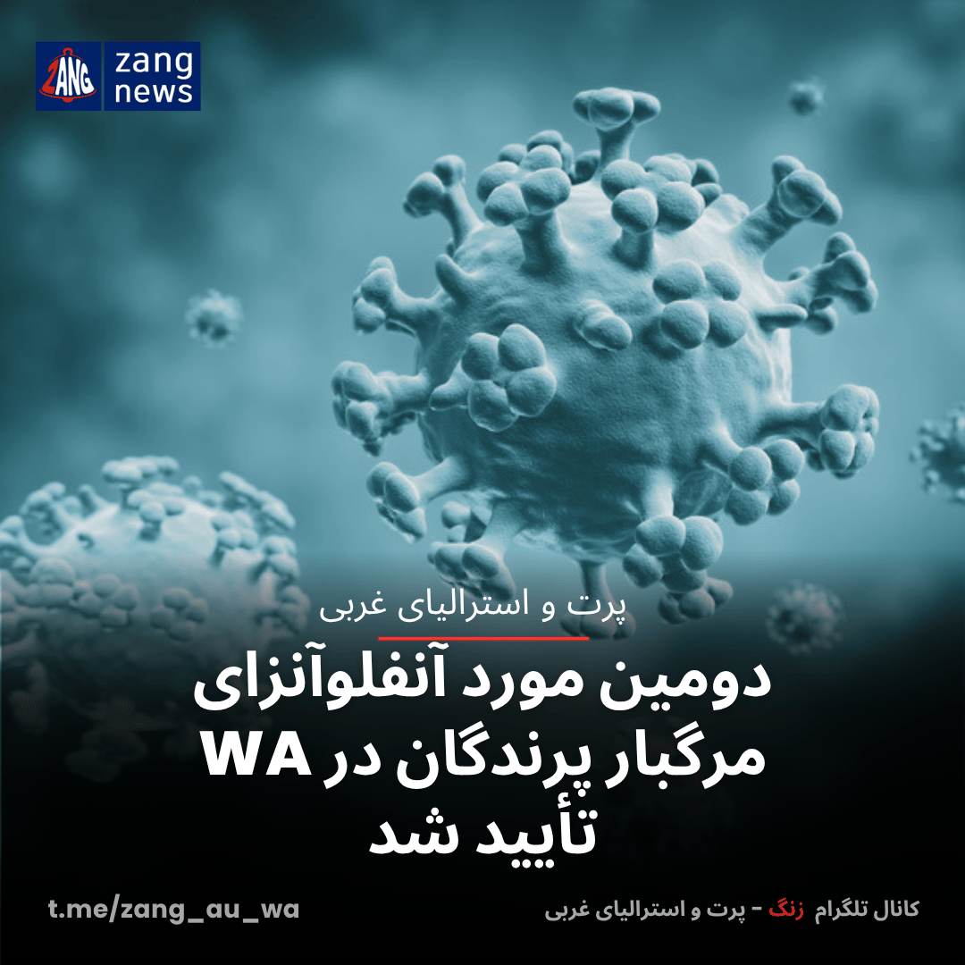 دومین مورد آنفلوآنزای مرگبار پرندگان در WA تأیید شد