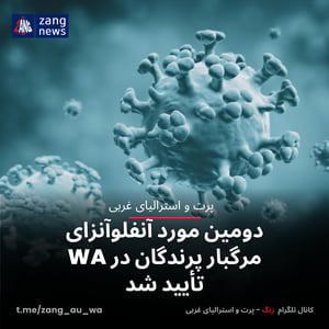 دومین مورد آنفلوآنزای مرگبار پرندگان در WA تأیید شد