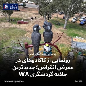 رونمایی از کاکادوهای در معرض انقراض؛ جدیدترین جاذبه گردشگری WA