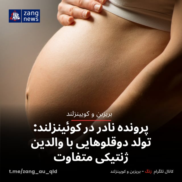 پرونده نادر در کوئینزلند: تولد دوقلوهایی با والدین ژنتیکی متفاوت