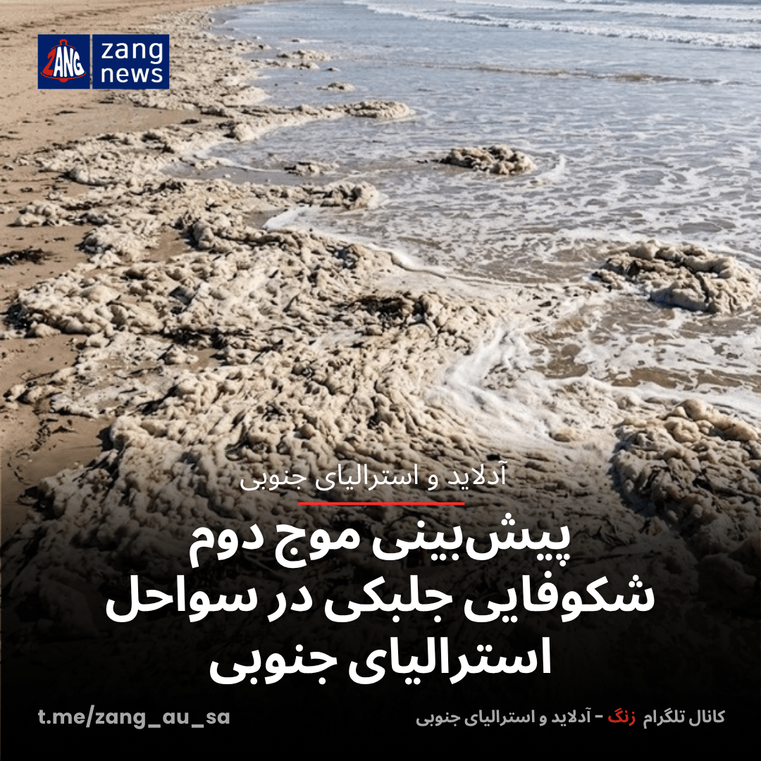 پیش‌بینی موج دوم شکوفایی جلبکی در سواحل استرالیای جنوبی