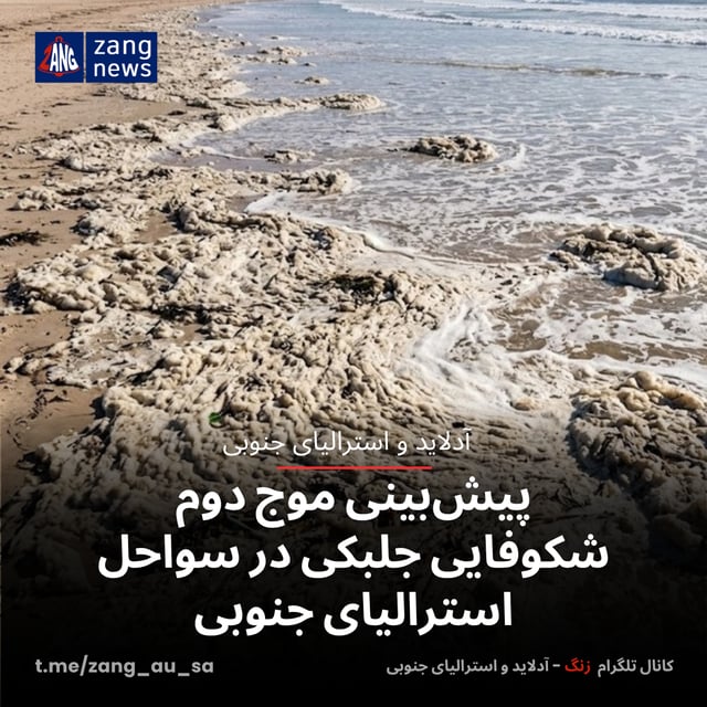 پیش‌بینی موج دوم شکوفایی جلبکی در سواحل استرالیای جنوبی