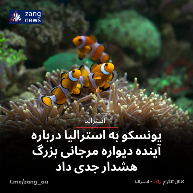 یونسکو به استرالیا درباره آینده دیواره مرجانی بزرگ هشدار جدی داد