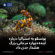 یونسکو به استرالیا درباره آینده دیواره مرجانی بزرگ هشدار جدی داد