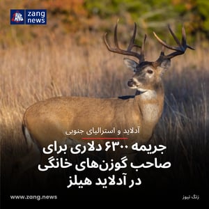 جریمه ۶۳۰۰ دلاری برای صاحب گوزن‌های خانگی در آدلاید هیلز