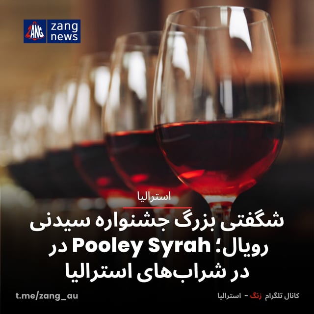 شگفتی بزرگ جشنواره سیدنی رویال؛ Pooley Syrah در صدر شراب‌های استرالیا