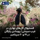 فستیوال گل‌های بهاری در غرب سیدنی؛ رویدادی رایگان در ۱۹ و ۲۰ سپتامبر