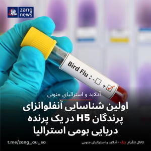 اولین شناسایی آنفلوانزای پرندگان H5 در یک پرنده دریایی بومی استرالیا
